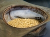 Wheat