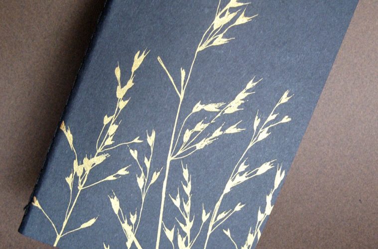 moleskine